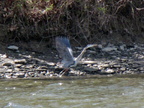 IMG 4545
